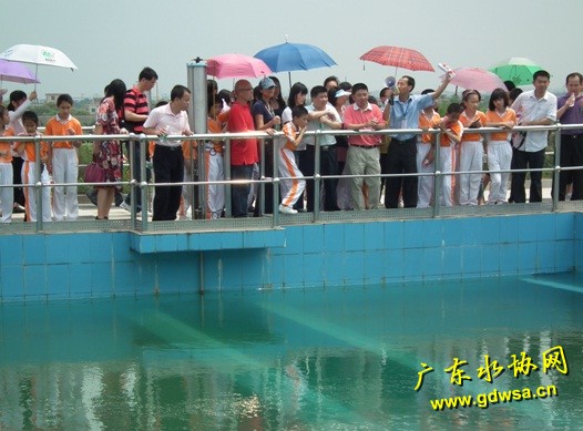 水云轩小学参观大丰水厂