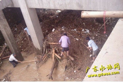 暴雨导致水厂吸水口 连州水司紧急抢险恢复供水