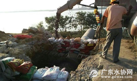 北江南岸原水管破堤埋管施工现场