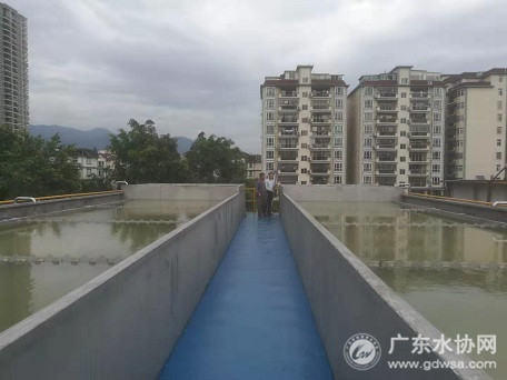 省水协县镇工作部到新丰县水司开展调研工作